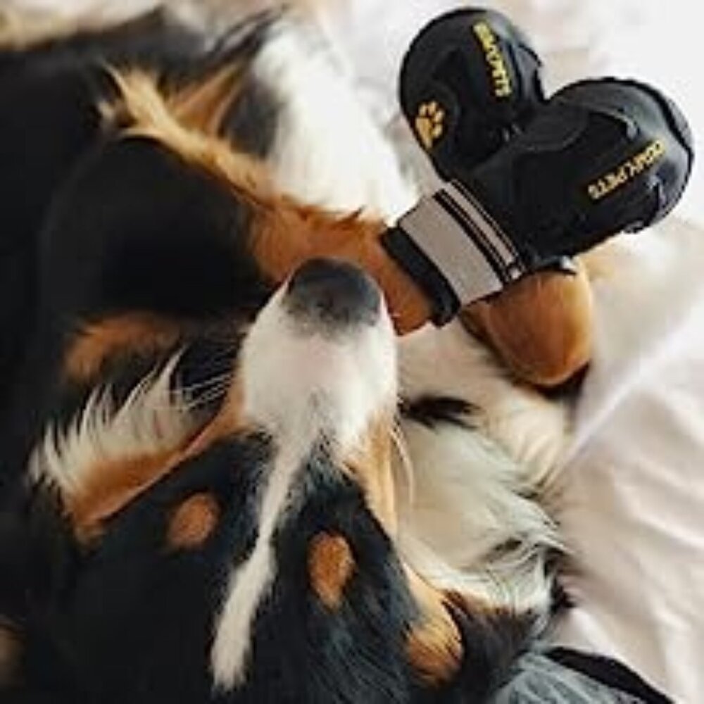 Dog booties - Qumypets - Black Size 1 ~ Rugged Neoprene Paw Protection Boots